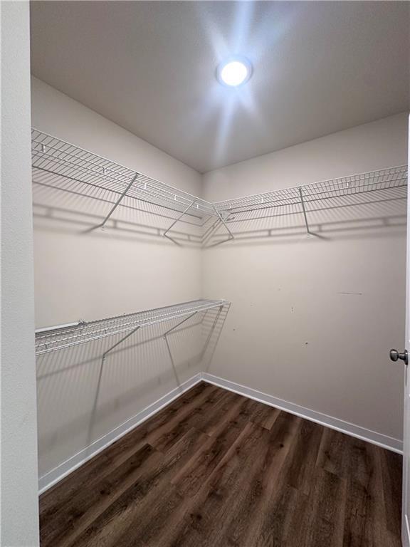 308 Dunn St, Colfax, WI 54730 - walk in closet with dark wood finished floors