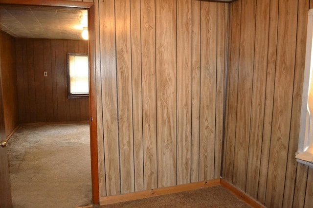 653 Grant St, Wonewoc, WI 53968 - carpeted empty room featuring wooden walls