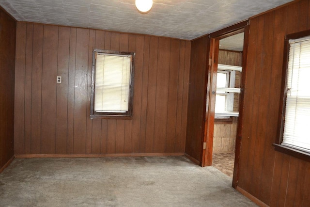 653 Grant St, Wonewoc, WI 53968 - spare room with carpet and wood walls