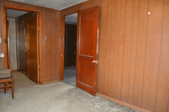 653 Grant St, Wonewoc, WI 53968 - corridor with wood walls and carpet floors