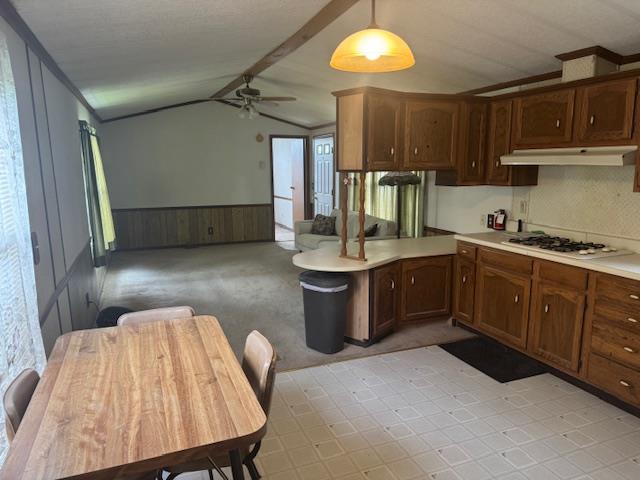 W211N11783 Hilltop Cir, Germantown, WI 53022 - kitchen with white gas cooktop, under cabinet range hood, vaulted ceiling, wainscoting, and ceiling fan