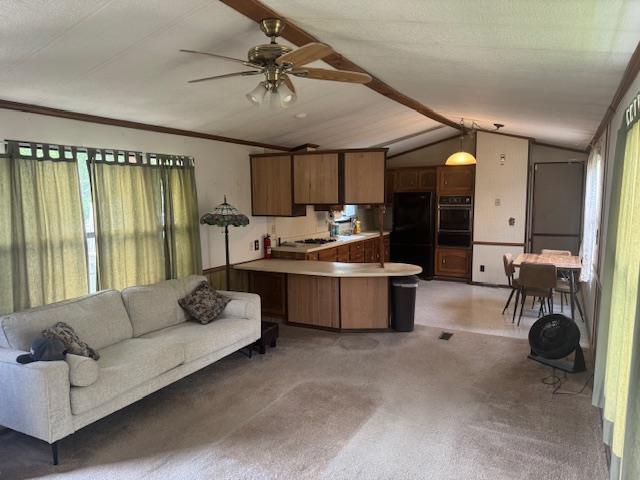 W211N11783 Hilltop Cir, Germantown, WI 53022 - living area featuring lofted ceiling and ceiling fan