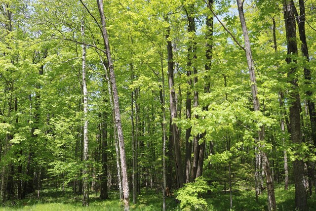 LT0 Maplewood Dr, Ellison Bay, WI 54210