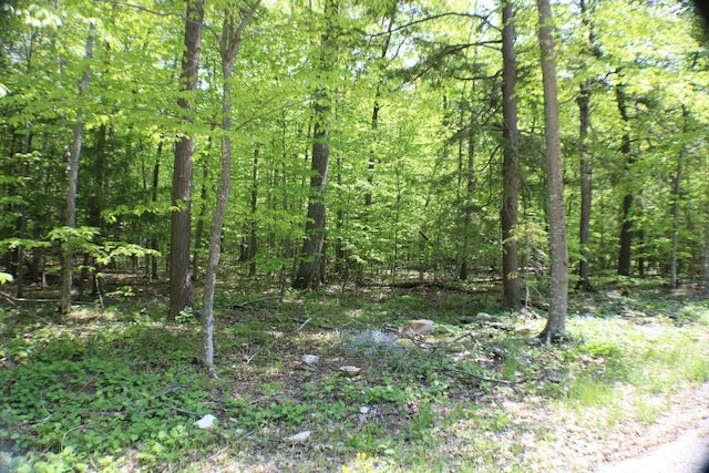 LT0 Maplewood Dr, Ellison Bay, WI 54210