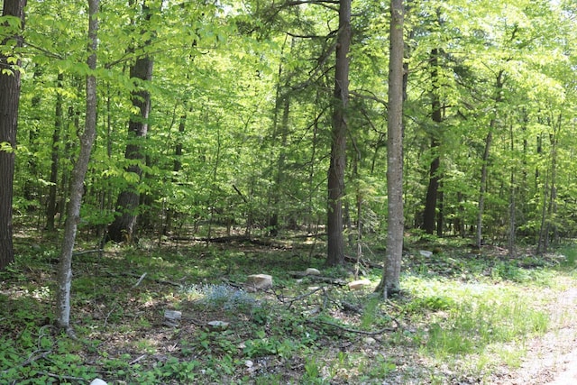LT0 Maplewood Dr, Ellison Bay, WI 54210