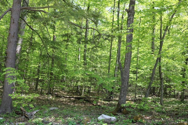 LT0 Maplewood Dr, Ellison Bay, WI 54210