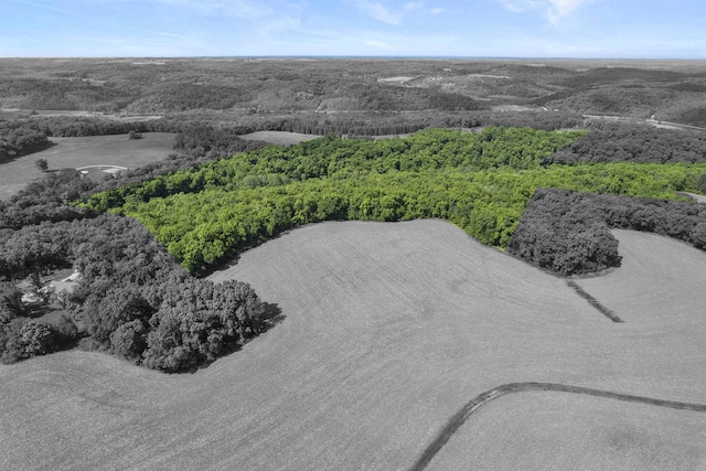 66.42ACRES Zwettler Rd, Arena, WI 53517