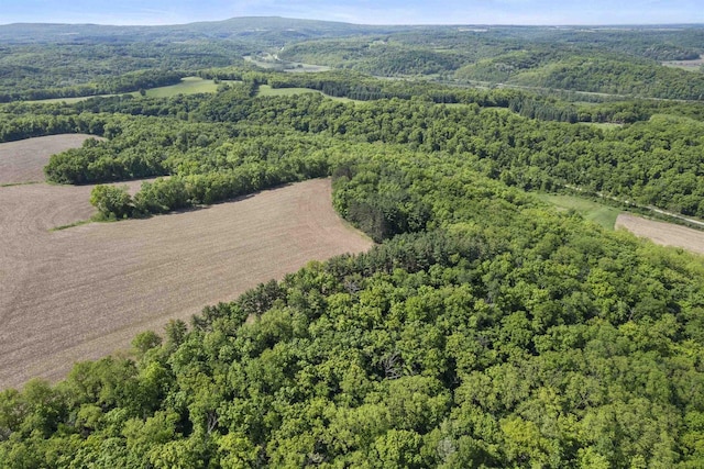 66.42ACRES Zwettler Rd, Arena, WI 53517
