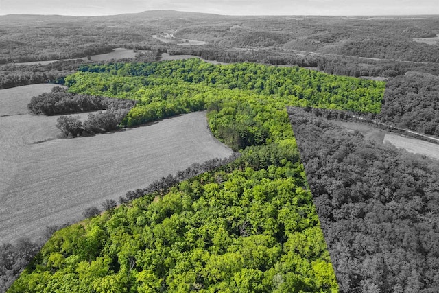 66.42ACRES Zwettler Rd, Arena, WI 53517