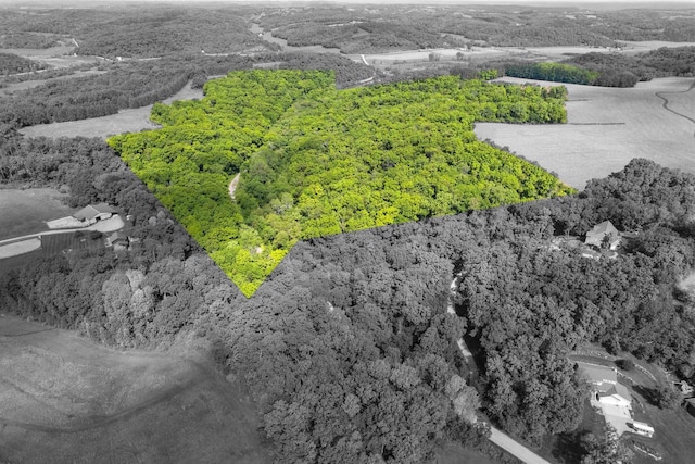 66.42ACRES Zwettler Rd, Arena, WI 53517