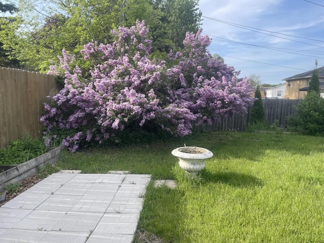 5110 W Cleveland Ave, Milwaukee, WI 53219 - view of yard featuring a patio