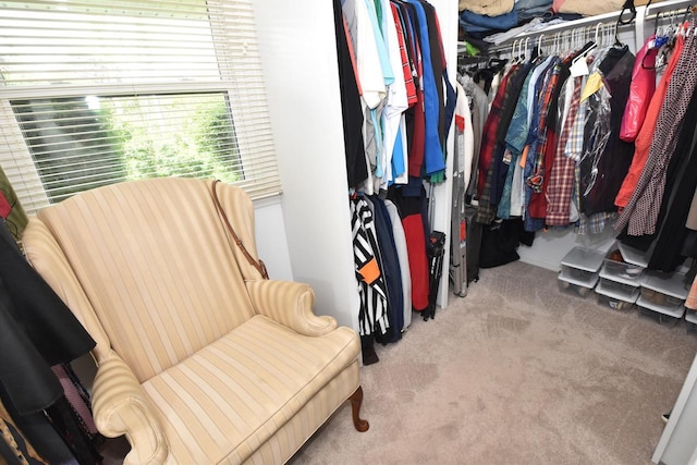 4729 James Ave, Wind Point, WI 53402 - walk in closet with carpet flooring