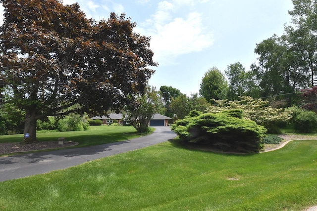 4729 James Ave, Wind Point, WI 53402 - view of asphalt driveway