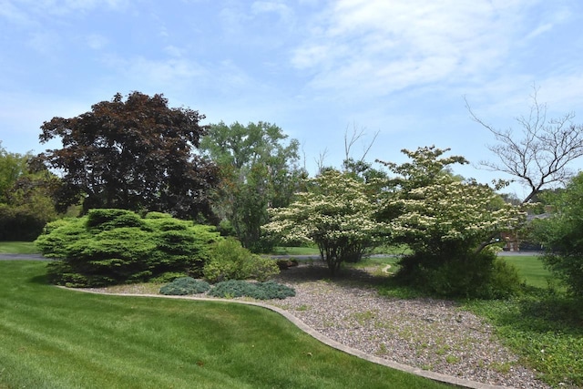 4729 James Ave, Wind Point, WI 53402 - view of green lawn