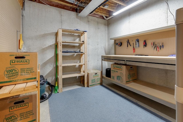 431 Ridgeway Dr, Brillion, WI 54110 - view of storage area