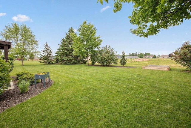 431 Ridgeway Dr, Brillion, WI 54110 - view of green lawn