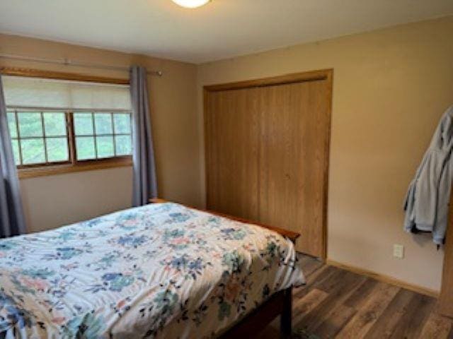 1064 Sunny Ridge Cir, Nekoosa, WI 54457 - bedroom featuring wood finished floors and a closet