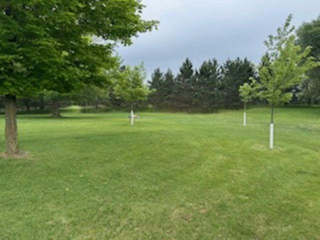 1064 Sunny Ridge Cir, Nekoosa, WI 54457 - view of grassy yard