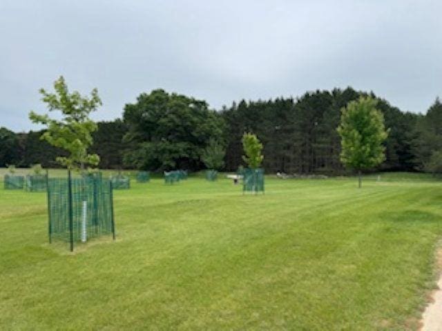 1064 Sunny Ridge Cir, Nekoosa, WI 54457 - view of grassy yard