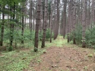 LT104-105 Fawn Ln, Hancock, WI 54943