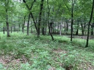 LT104-105 Fawn Ln, Hancock, WI 54943