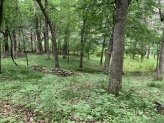LT104-105 Fawn Ln, Hancock, WI 54943