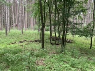 LT104-105 Fawn Ln, Hancock, WI 54943
