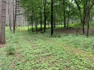 LT104-105 Fawn Ln, Hancock, WI 54943