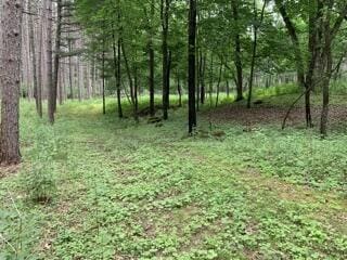 LT104-105 Fawn Ln, Hancock, WI 54943