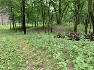 LT104-105 Fawn Ln, Hancock, WI 54943