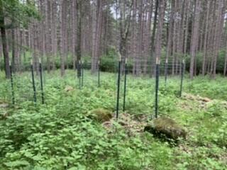 LT104-105 Fawn Ln, Hancock, WI 54943