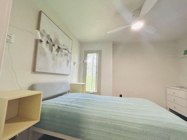 5869 Country Club Rd, Houston, MN 55943 - bedroom with a ceiling fan