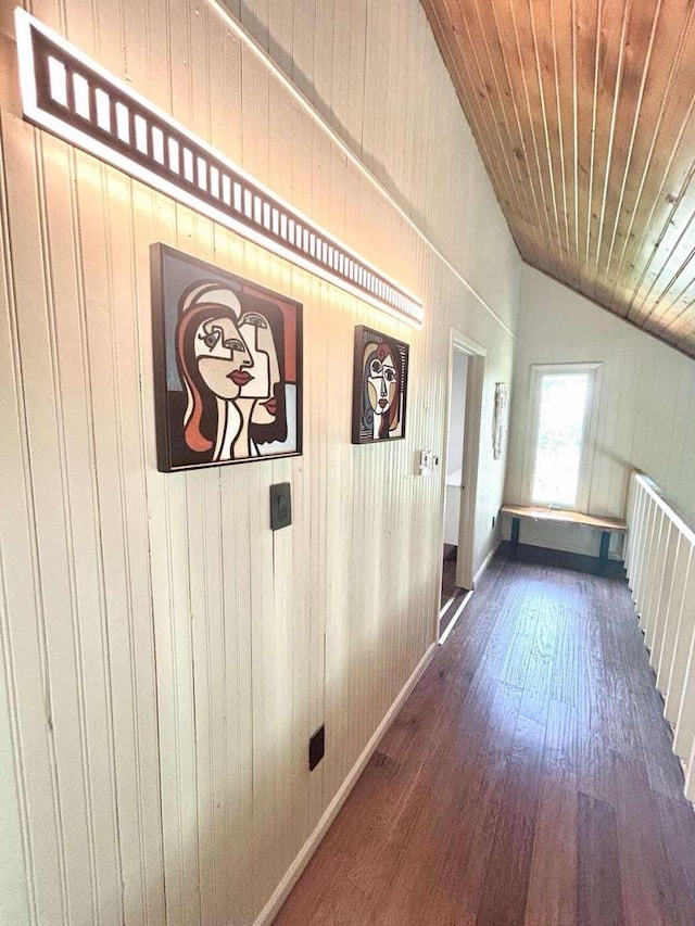5869 Country Club Rd, Houston, MN 55943 - hallway featuring vaulted ceiling, dark wood finished floors, wooden ceiling, and wooden walls