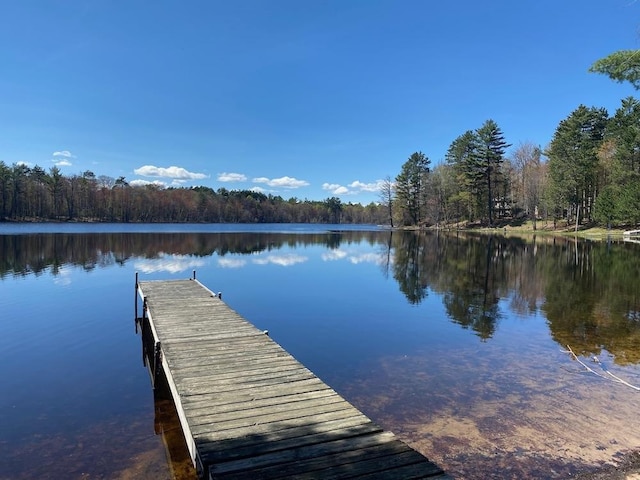 1119 Gross Rd, Woodruff, WI 54568 - dock with a water view and a forest view