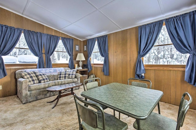 1119 Gross Rd, Woodruff, WI 54568 - living area featuring carpet, wooden walls, and vaulted ceiling