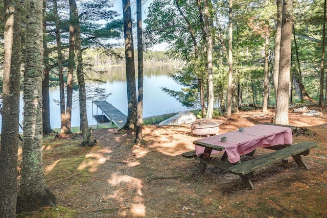 1119 Gross Rd, Woodruff, WI 54568 - view of yard with a water view and a dock