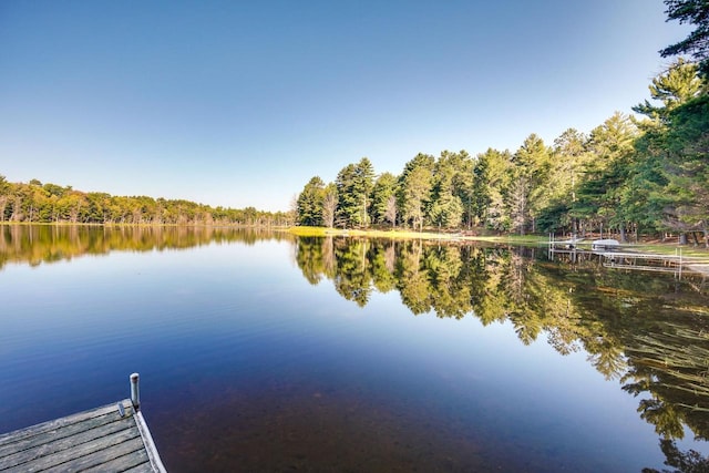 1119 Gross Rd, Woodruff, WI 54568 - dock featuring a view of trees and a water view