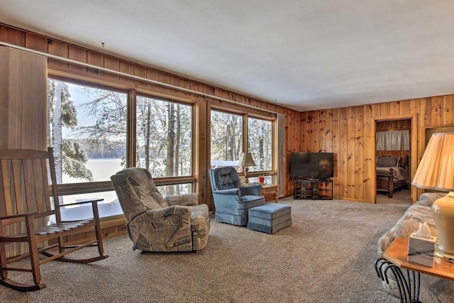 1119 Gross Rd, Woodruff, WI 54568 - living room featuring carpet flooring and wooden walls