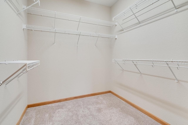 7942 Williamsburg Ct Unit 101, Bristol, WI 53104 - walk in closet with carpet