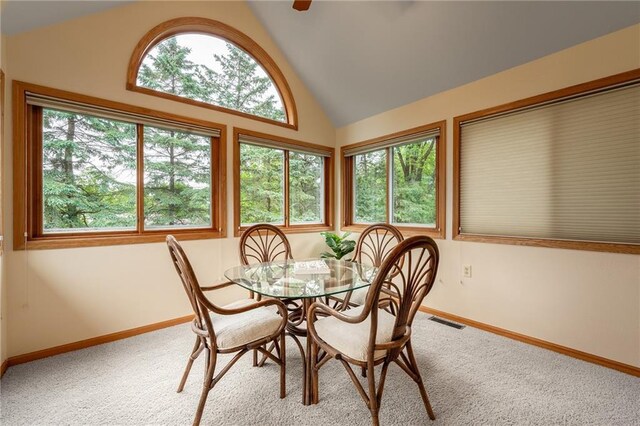 3413 Mcelroy Ct, Eau Claire, WI 54701 - carpeted dining space with healthy amount of natural light and high vaulted ceiling