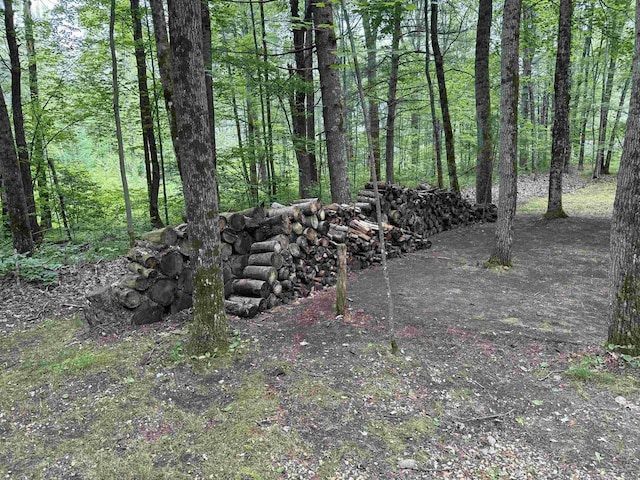 N1640 Sundance Ln, Keshena, WI 54135