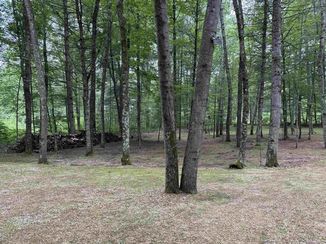 N1640 Sundance Ln, Keshena, WI 54135