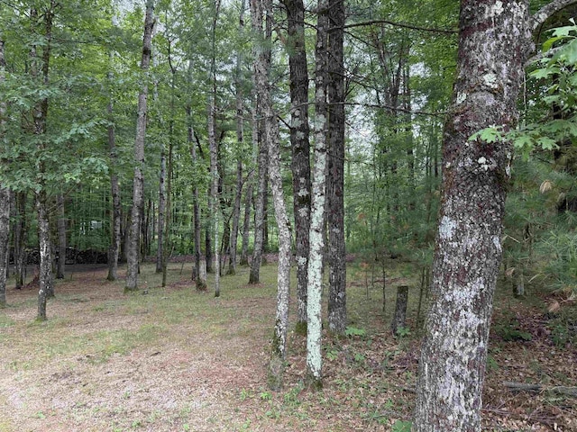 N1640 Sundance Ln, Keshena, WI 54135