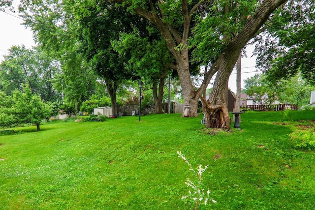 720 De Clark St, Beaver Dam, WI 53916 - view of yard