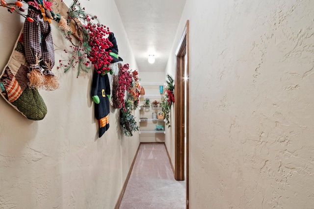 2510 Hillside Heights Dr, Green Bay, WI 54311 - hallway featuring carpet flooring and a textured wall