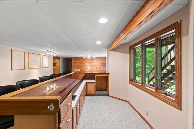 2510 Hillside Heights Dr, Green Bay, WI 54311 - bar area featuring light colored carpet, recessed lighting, track lighting, and wooden walls