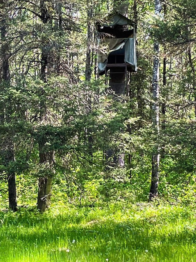 5093 County Highway G, Cavour, WI 54511 - view of wooded area