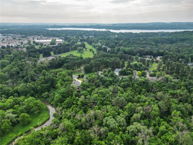 1403 Elm Ave, Menomonie, WI 54751 - bird's eye view of a large body of water and a heavily wooded area