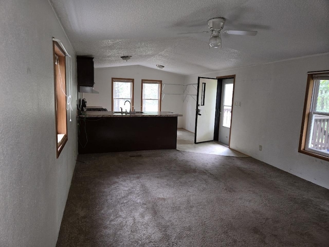 2143 County Road Z, Friendship, WI 53934 - unfurnished living room featuring lofted ceiling, a ceiling fan, a textured ceiling, and light colored carpet