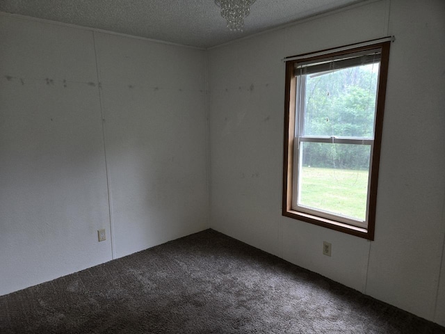 2143 County Road Z, Friendship, WI 53934 - spare room featuring carpet and a textured ceiling